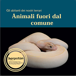 Animali fuori dal comune