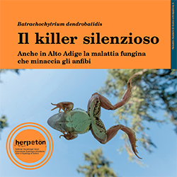 Il killer silenzioso